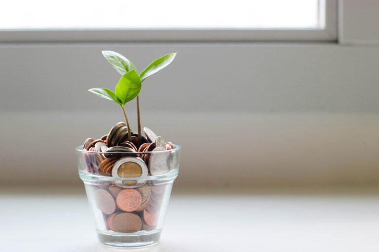 A small seedling plant standing up from a small glass filled with coins.
