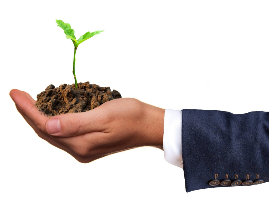 A hand in a suit holding a small pile of soil from which a small green seedling is reaching upwards